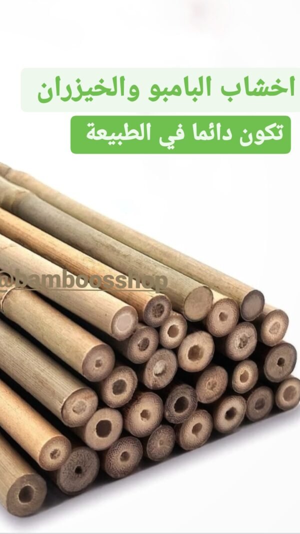 ⁦بامبو⁩ - الصورة ⁦6⁩