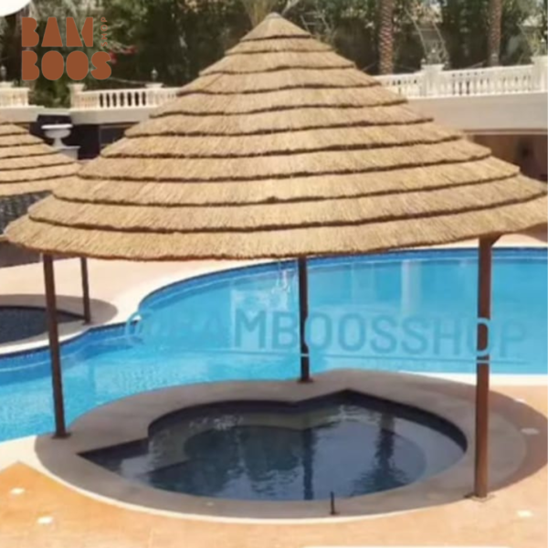 قش الافريقي